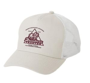 Casquette Fendt Baseball Dieselross beige